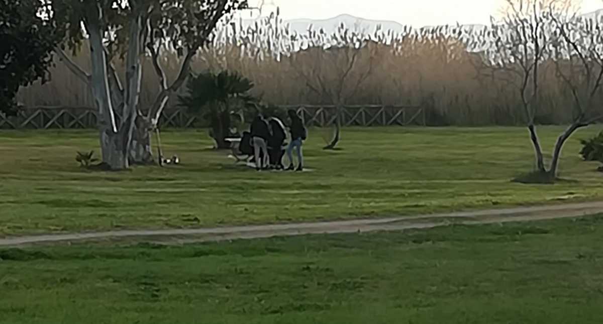 Parco-molentargius-ragazzini