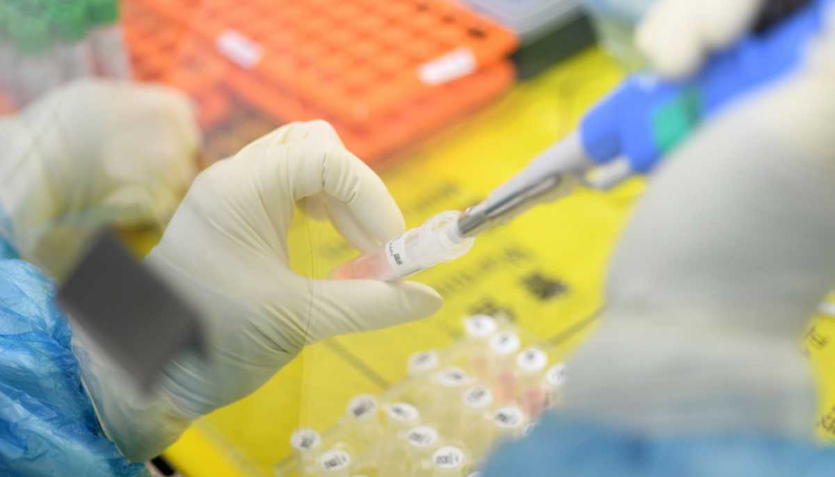 virus-laboratorio