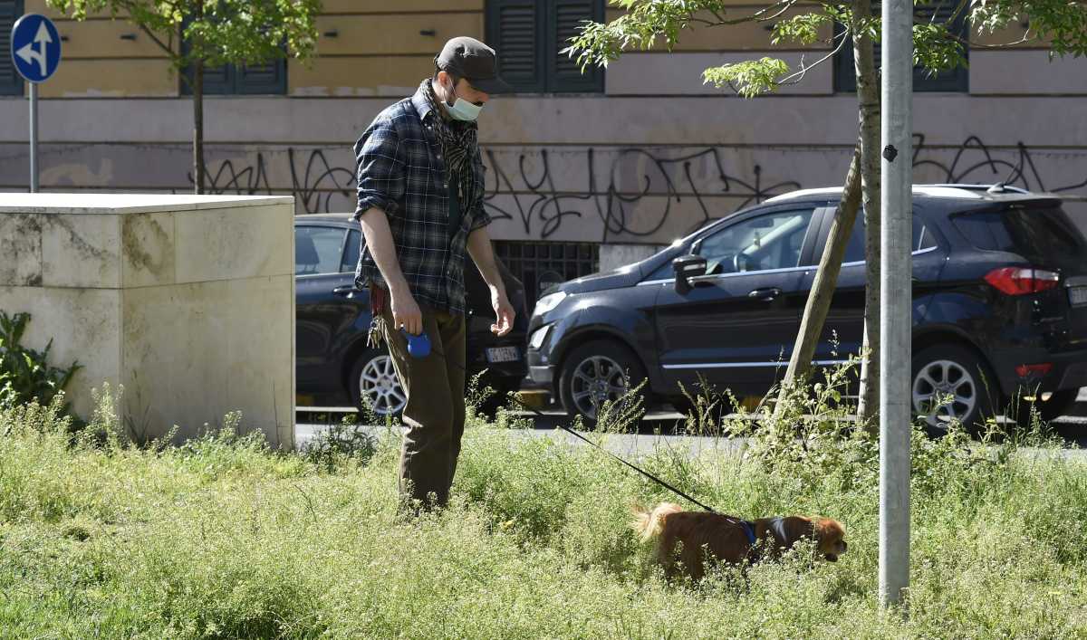Aree-cani-Cagliari