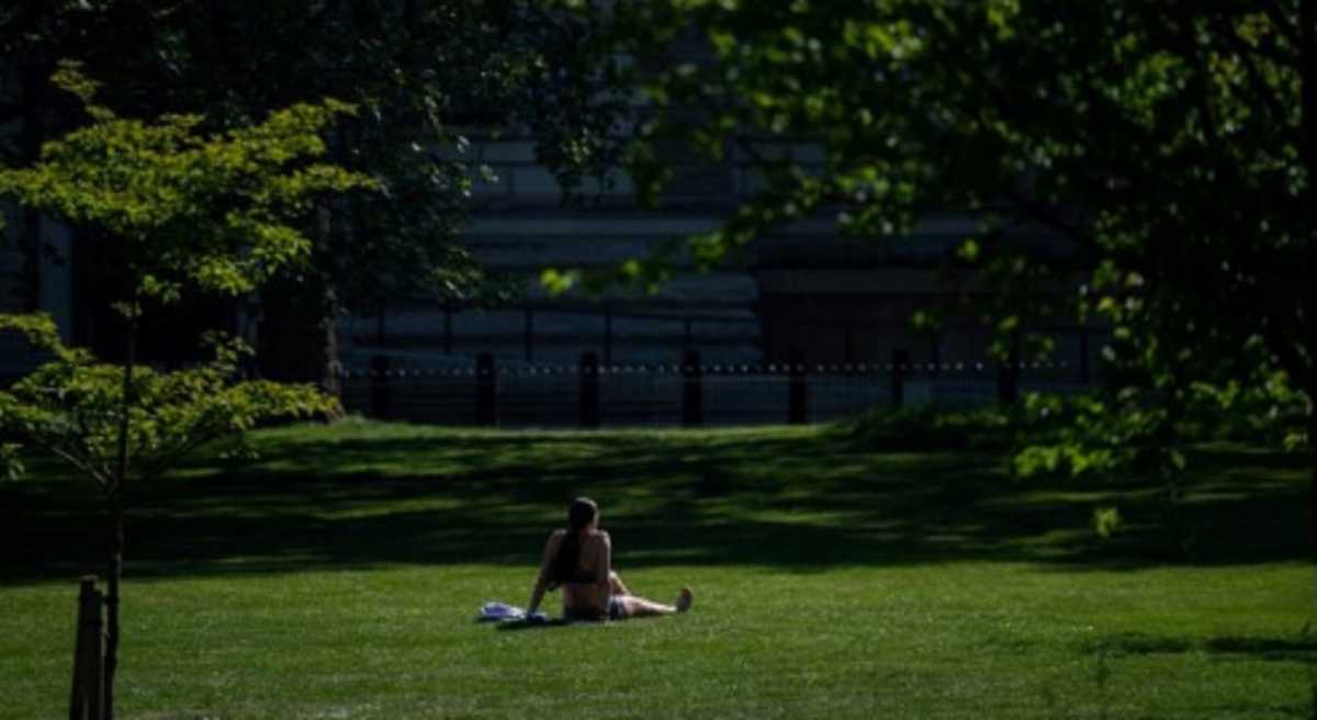 Parco-topless