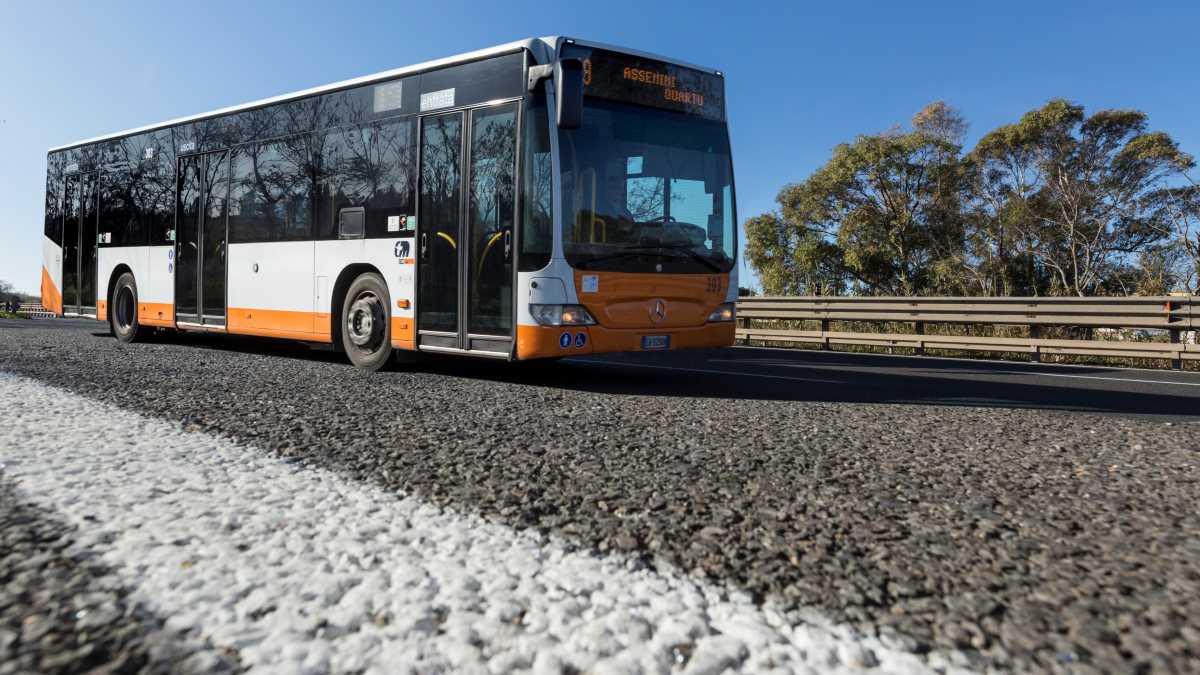linea-19