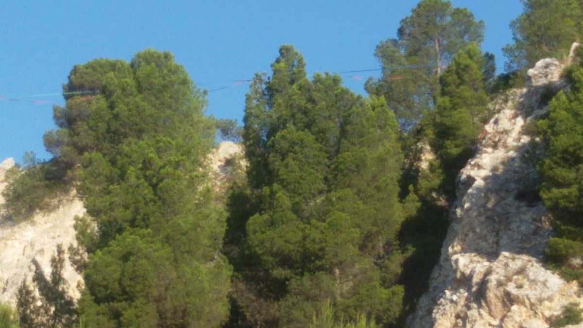 Monte-Urpinu-2