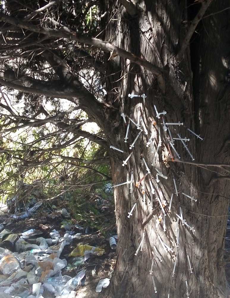 albero-siringhe