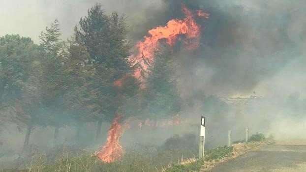 incendi1