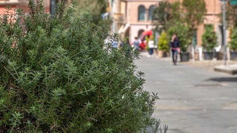 orto-nuoro-2