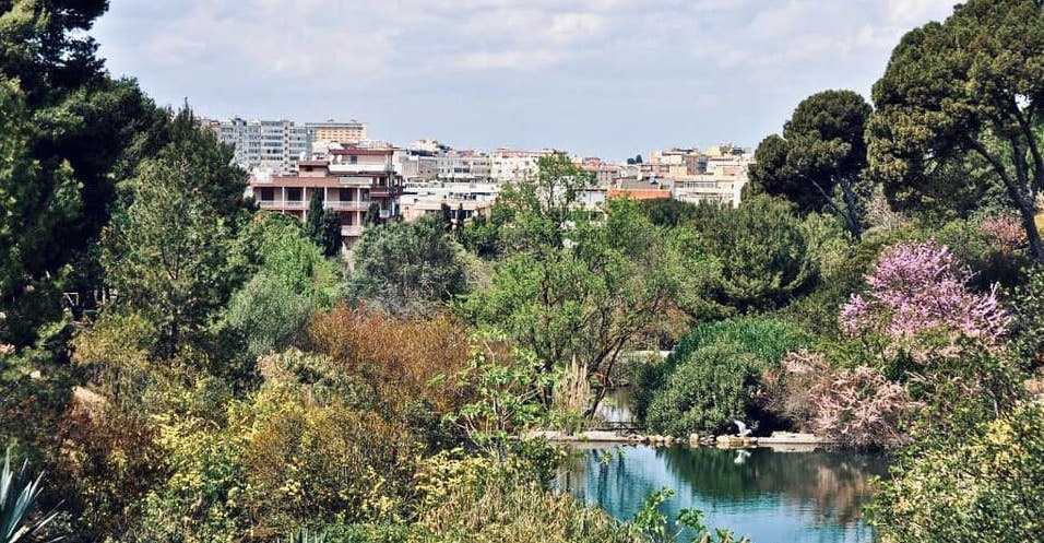 cagliari-verde-2023