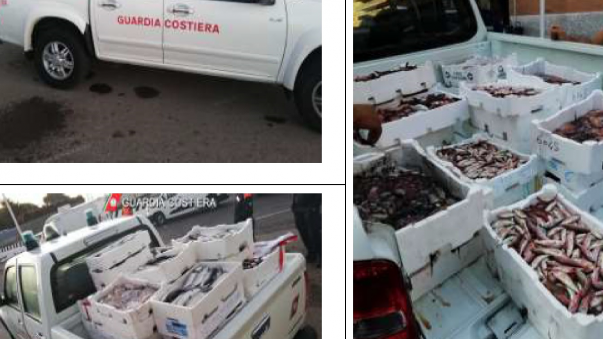 guardia-costiera2