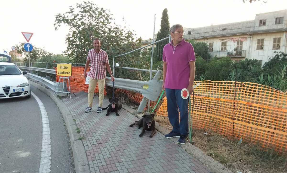 pitbull-abbandonati
