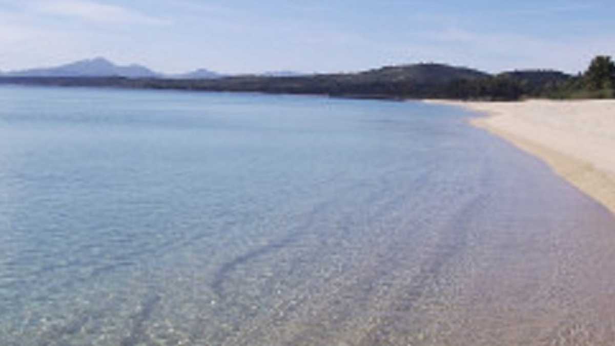 faita-sardegna