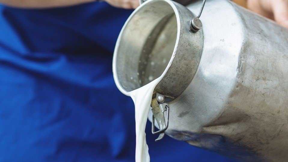 latte