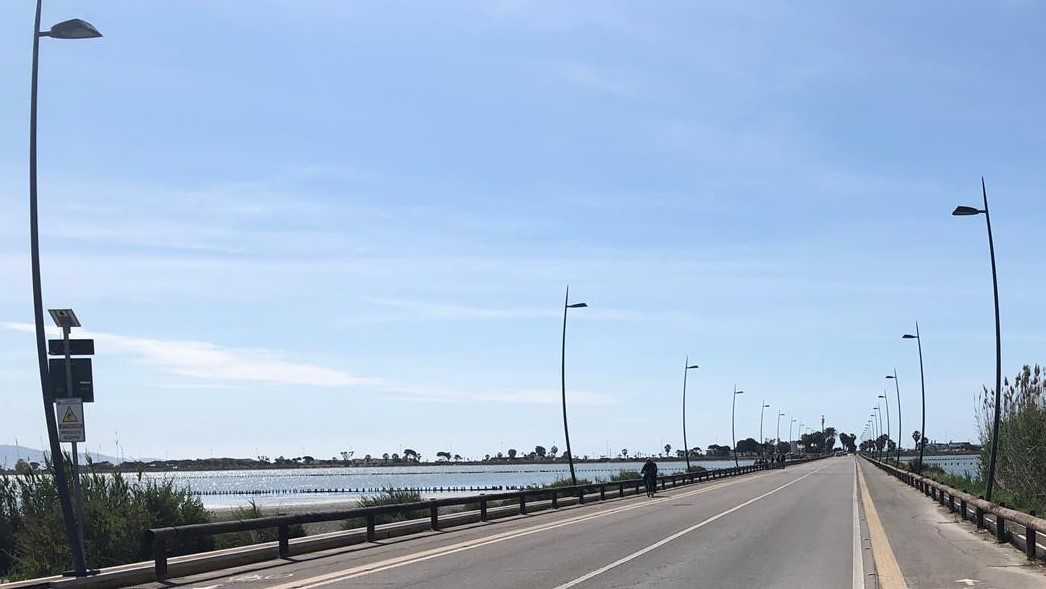 Viale-Colombo