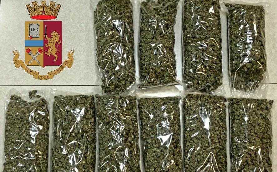 10kgmarijua