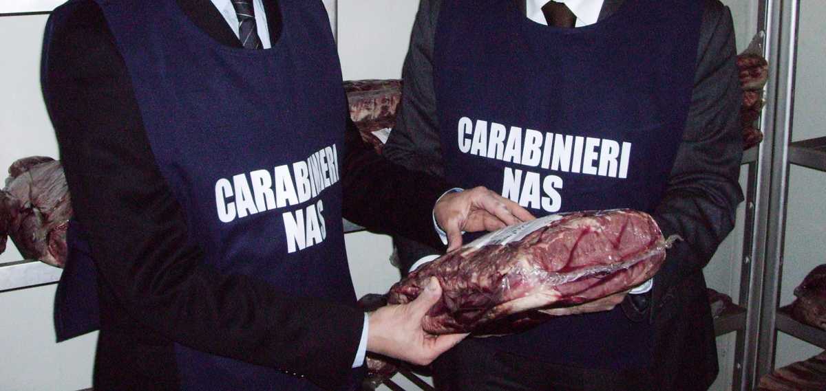 NAS-CARNI