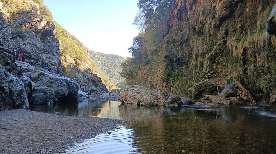 Stiddiosa