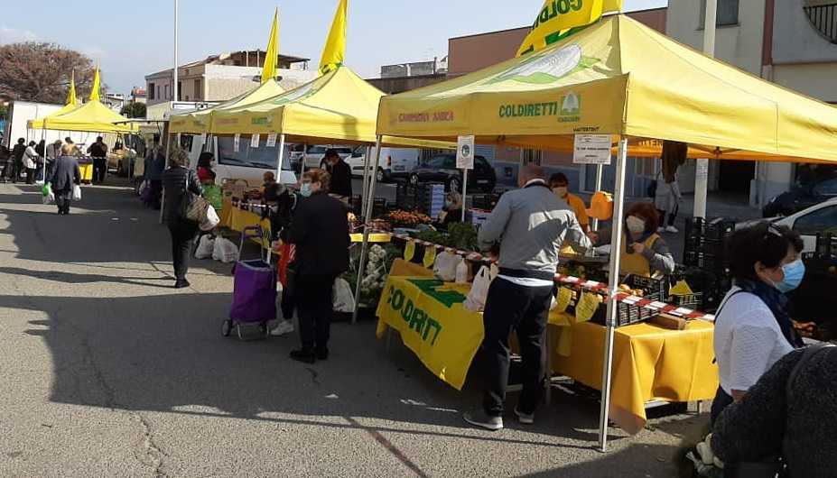 cAMPAGNA-AMICA