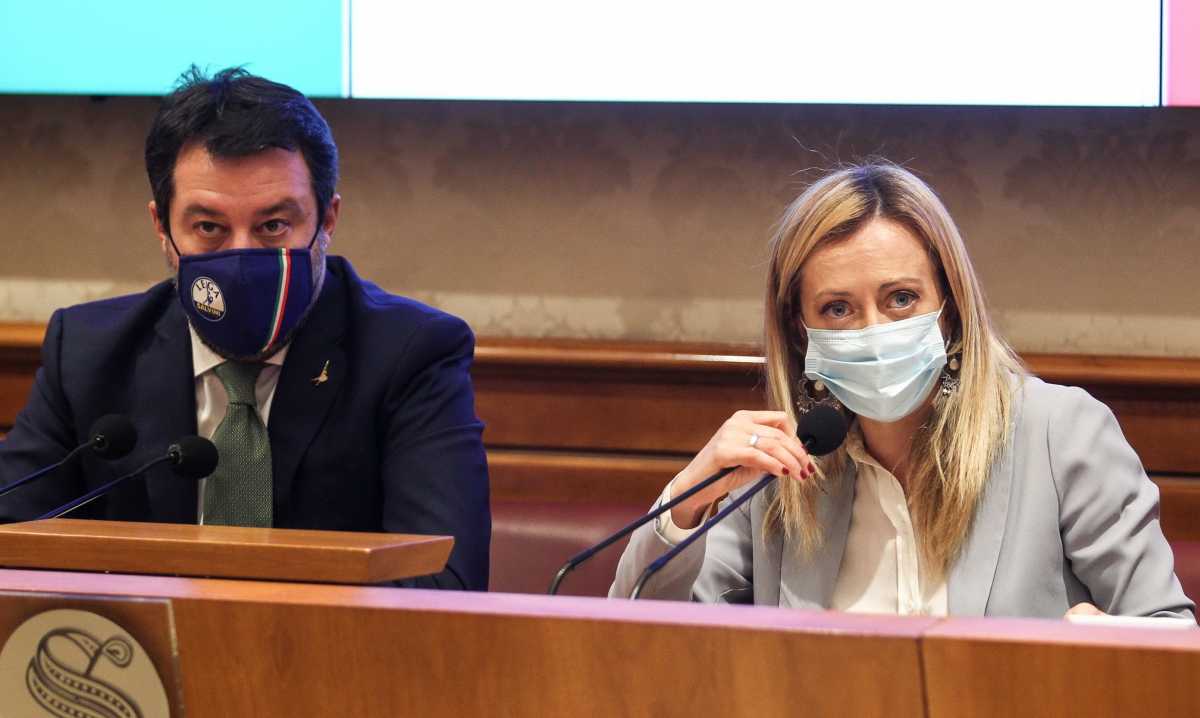 salviniemeloni