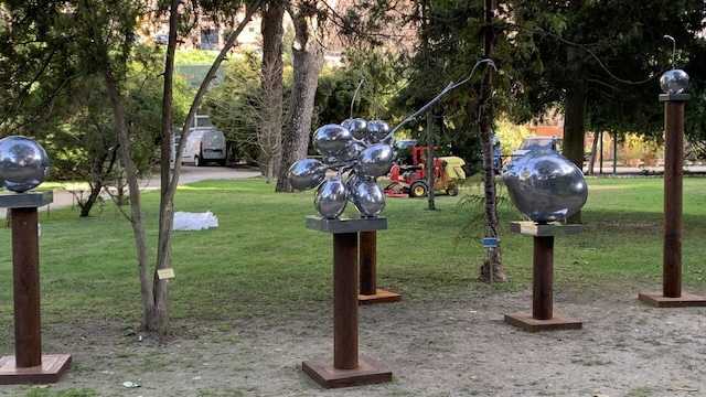 IMG2877