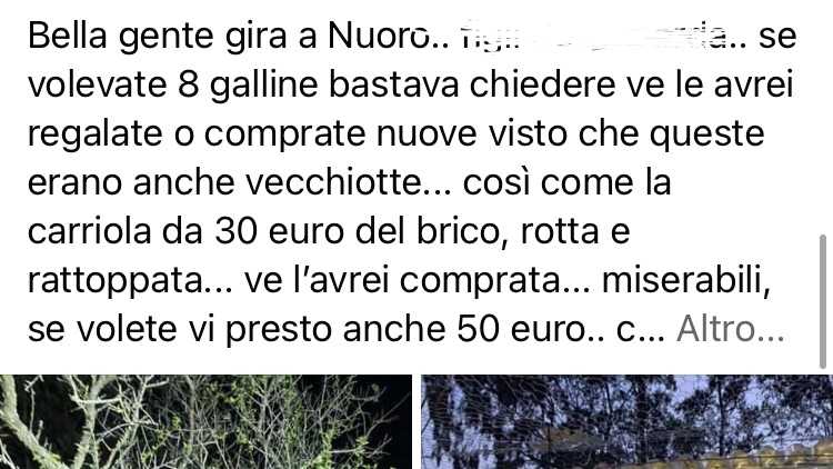 Denuncnia Furto denuncnia-furto
