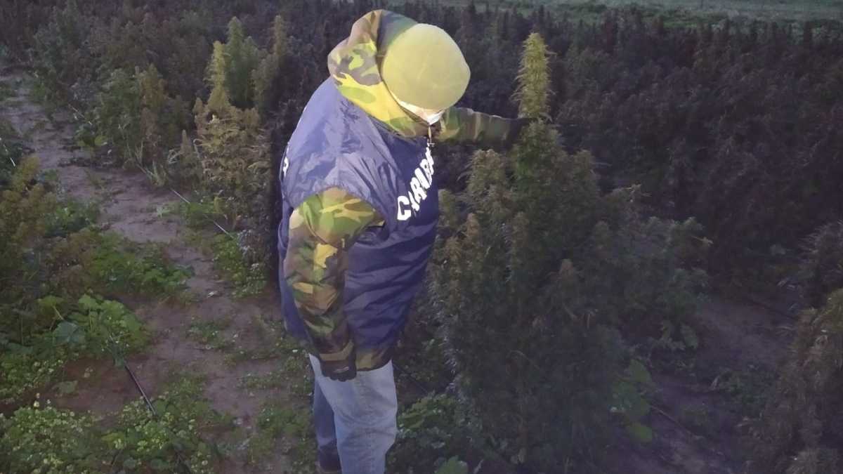 1617779456465