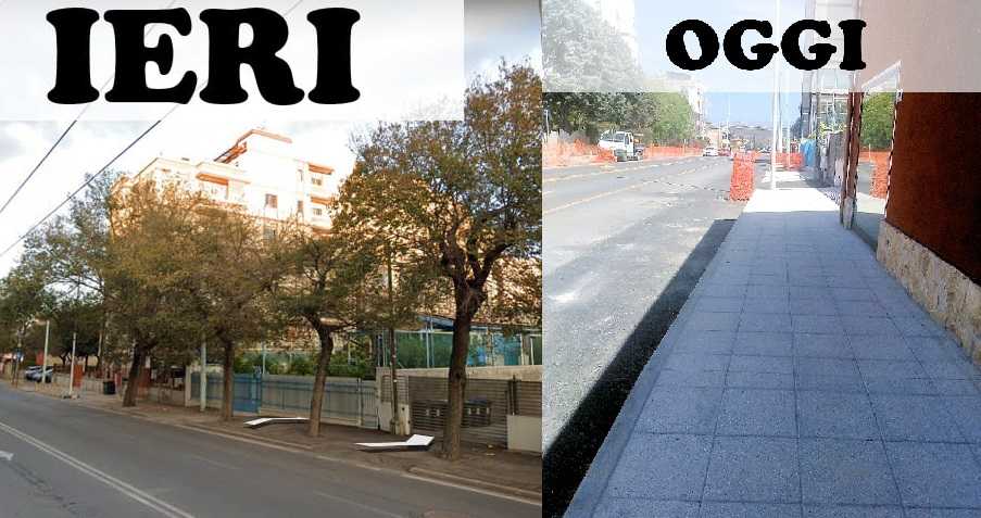 OLMI