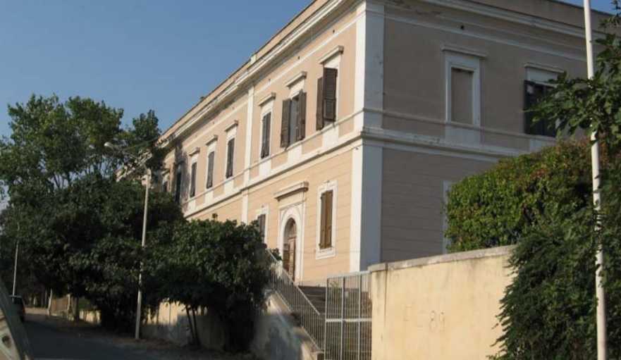 Calamosca
