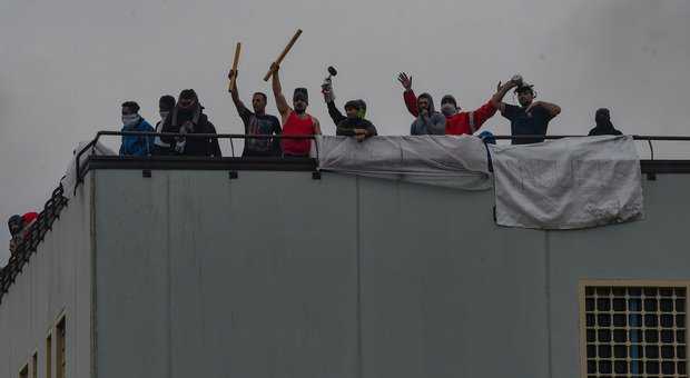 Protesta