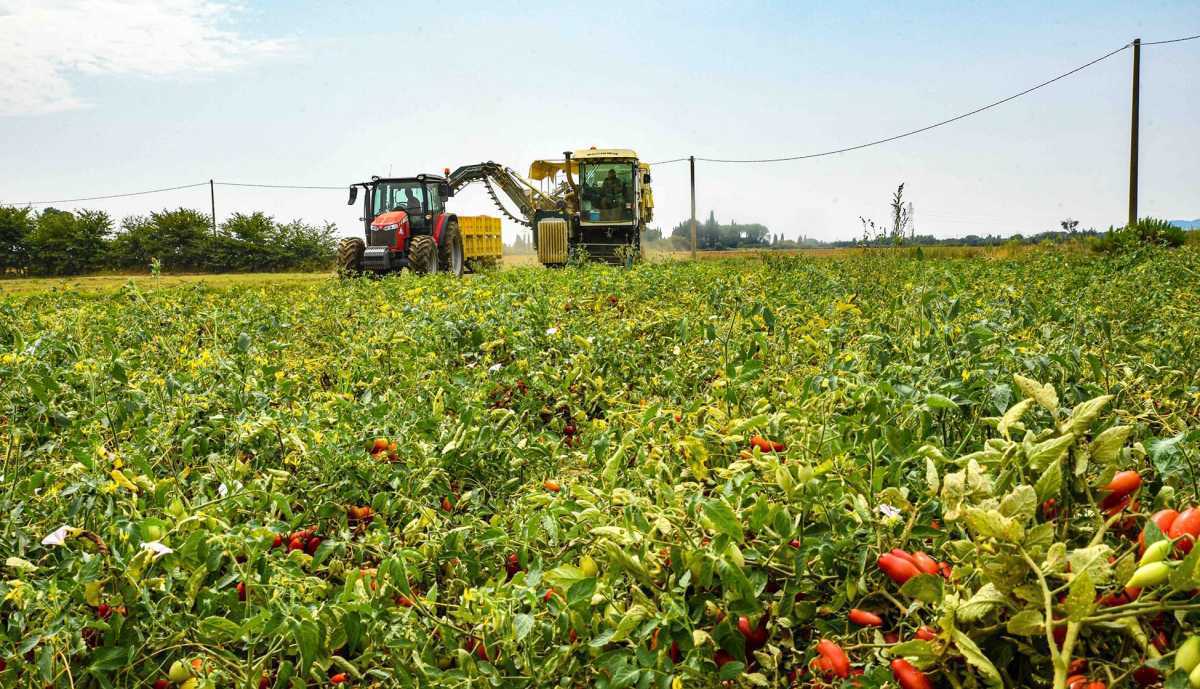 agricoltura-sblocco
