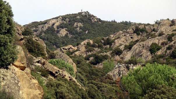 monte-