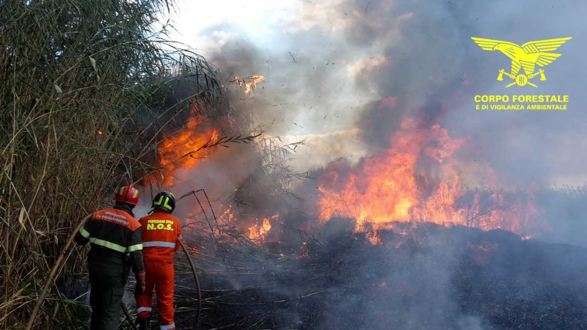 incendi-6-luglio