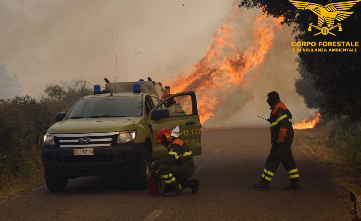 incendio-decimo