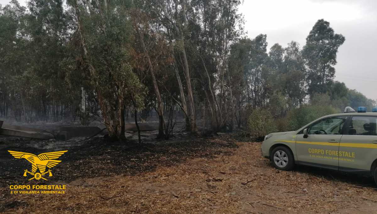incendiario-arrestato-serramanan