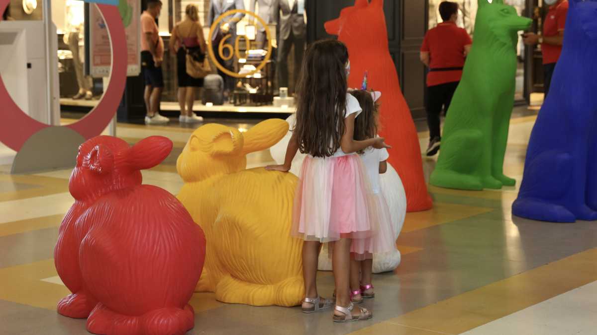 IMG4255