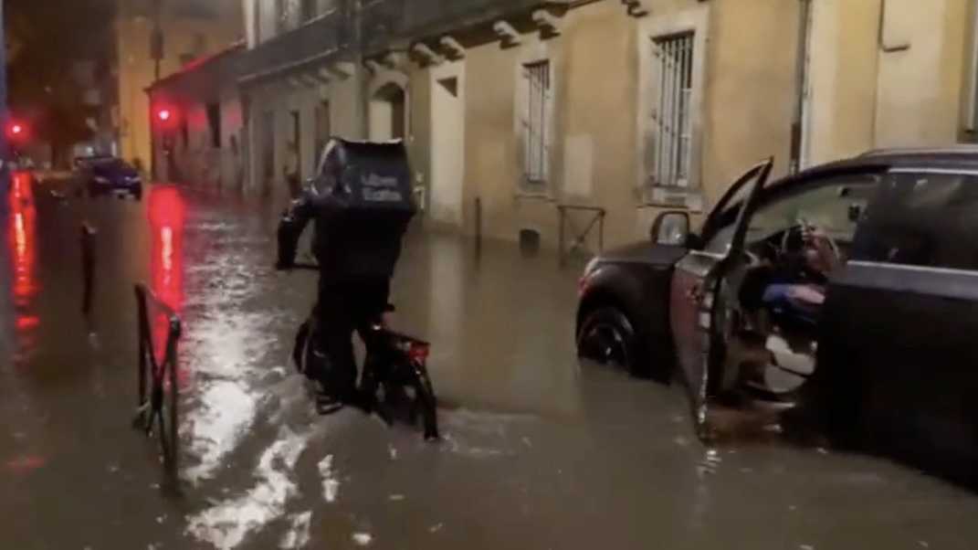 montpellieri