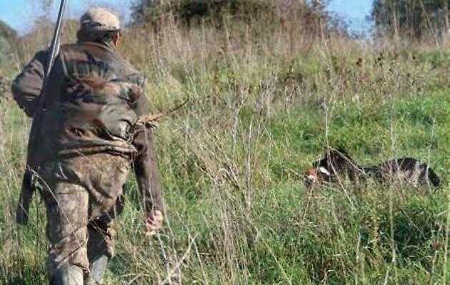 caccia-pernife-