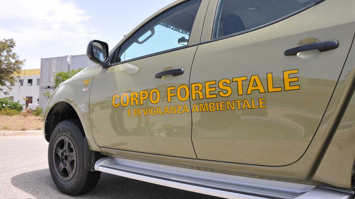 corpo-forestale