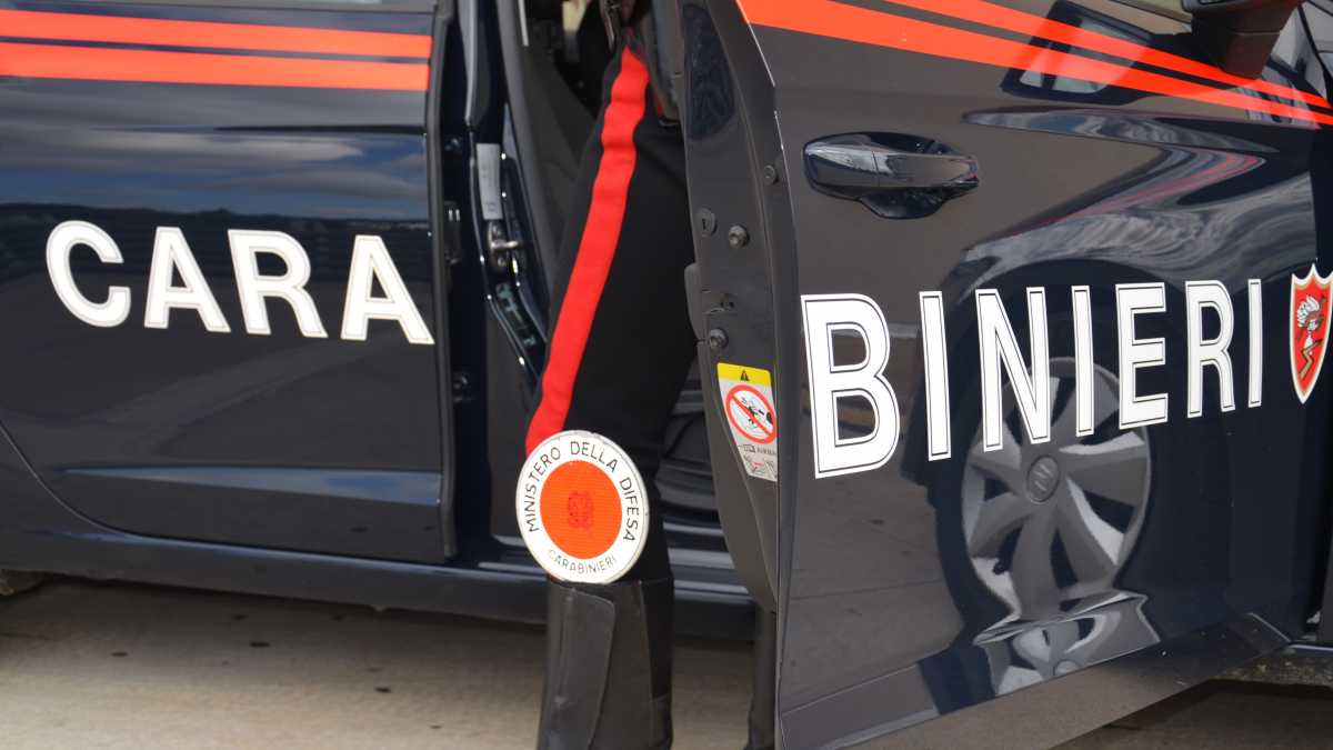 rapina-