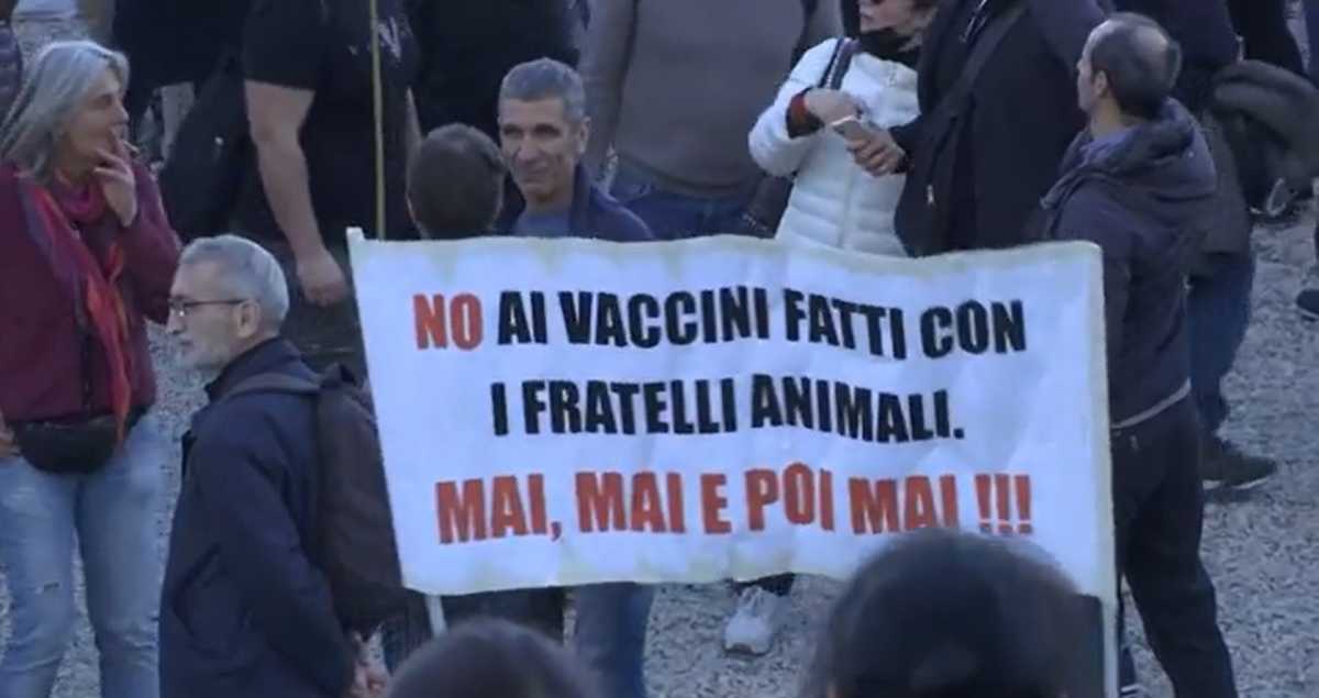 Romaq No Pas romaq-no-pas