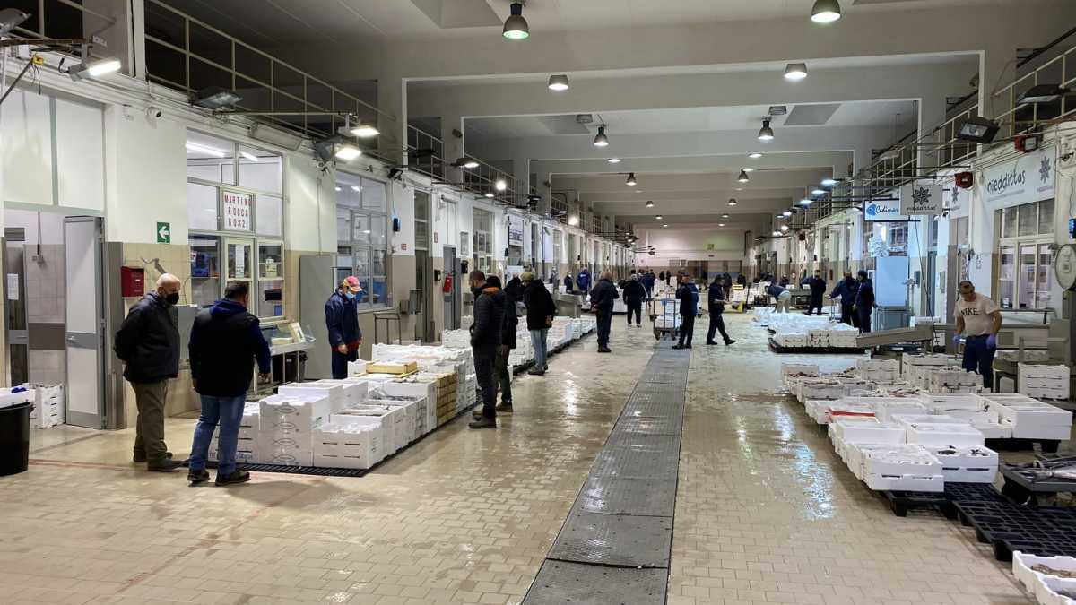 Mercato Ittico Cagliari mercato-ittico-cagliari