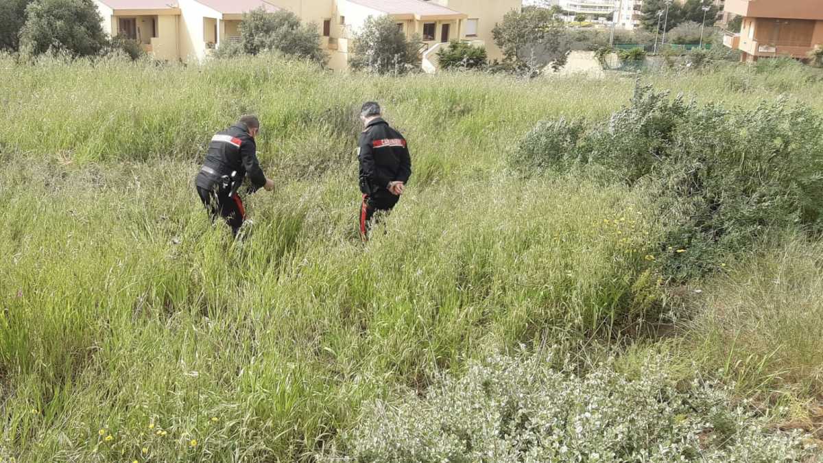 Carabinieri Di Quartu Sul Posto carabinieri-di-quartu-sul-posto