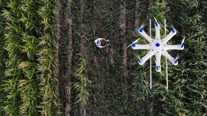 foto-droni-agricoli