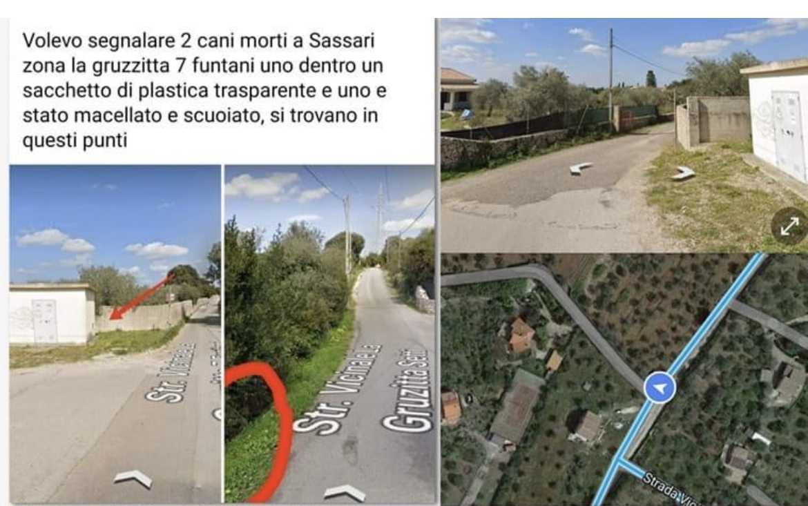 Il Luogo Del Ritrovamento il-luogo-del-ritrovamento