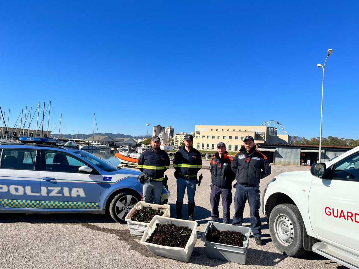 Sequestro Ricci Olbia sequestro-ricci-Olbia
