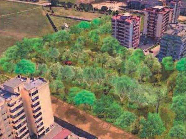 Il Nuovo Polmone Verde il-nuovo-polmone-verde
