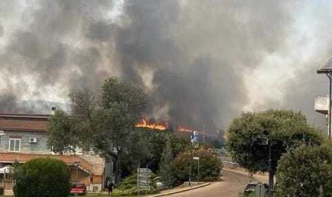 66aa3a75069ea incendio-ottana