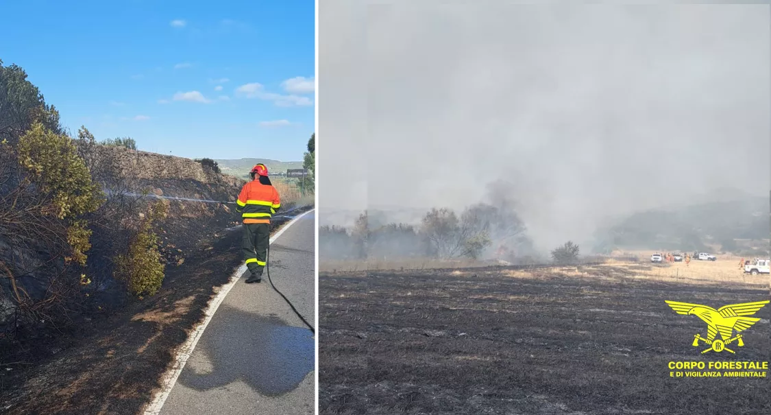 incendi-cenere-sardegna
