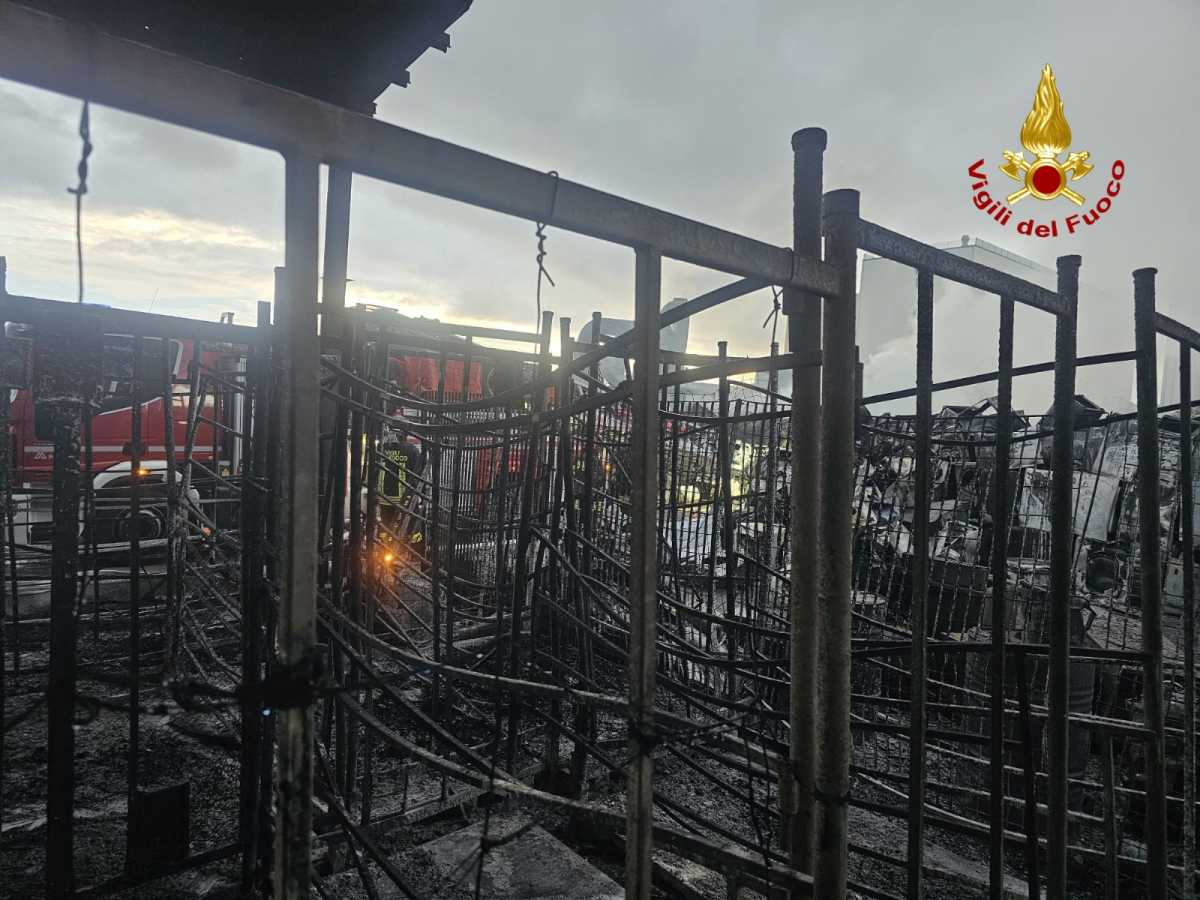 WhatsApp Image 2025 10 31 At 095345 WhatsApp-Image-2025-10-31-at-095345