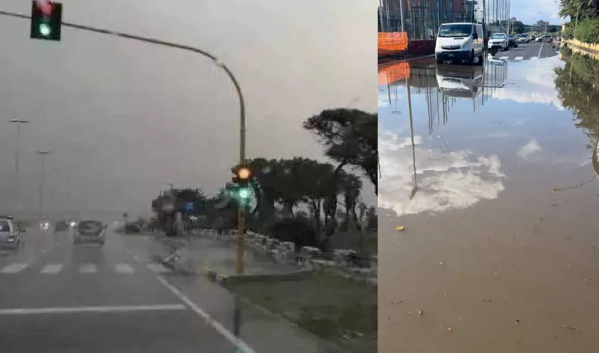 YouTG.NET - Pioggia e temporali in Sardegna: scatta l'allerta meteo per il  rischio nubifragi