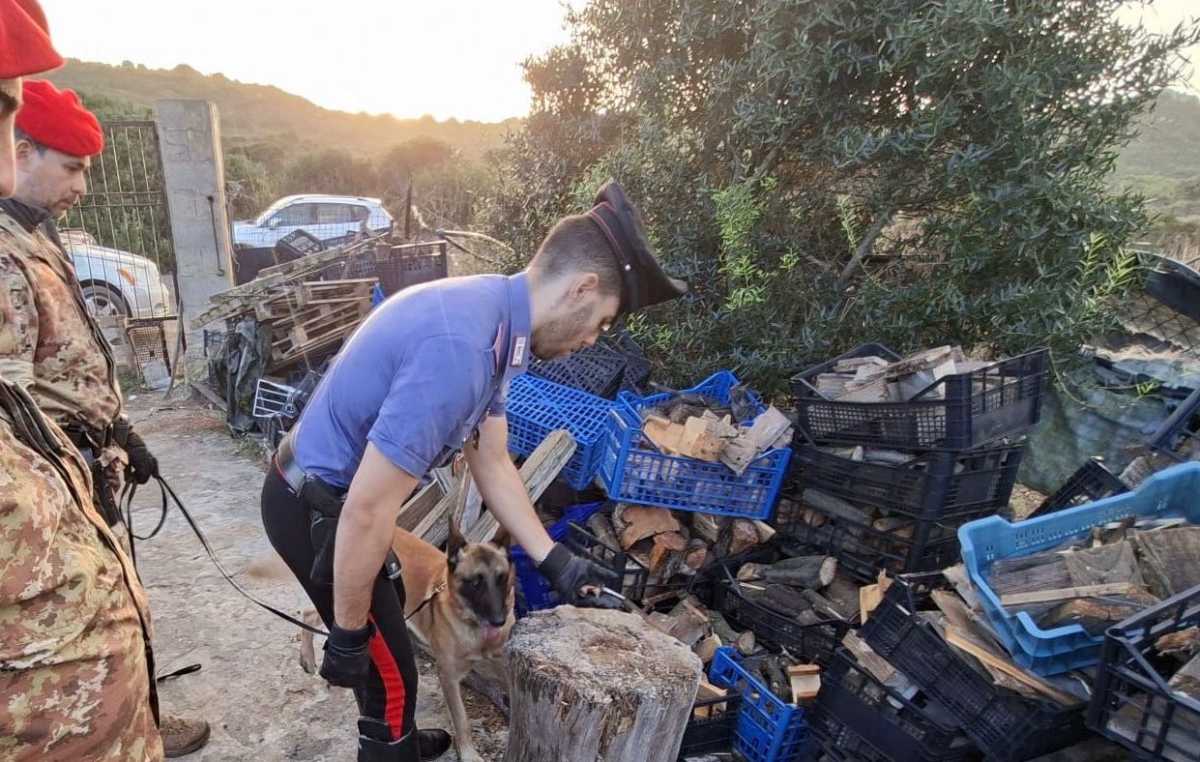 Carabinieri Con I Cani Controllo carabinieri-con-i-cani-controllo