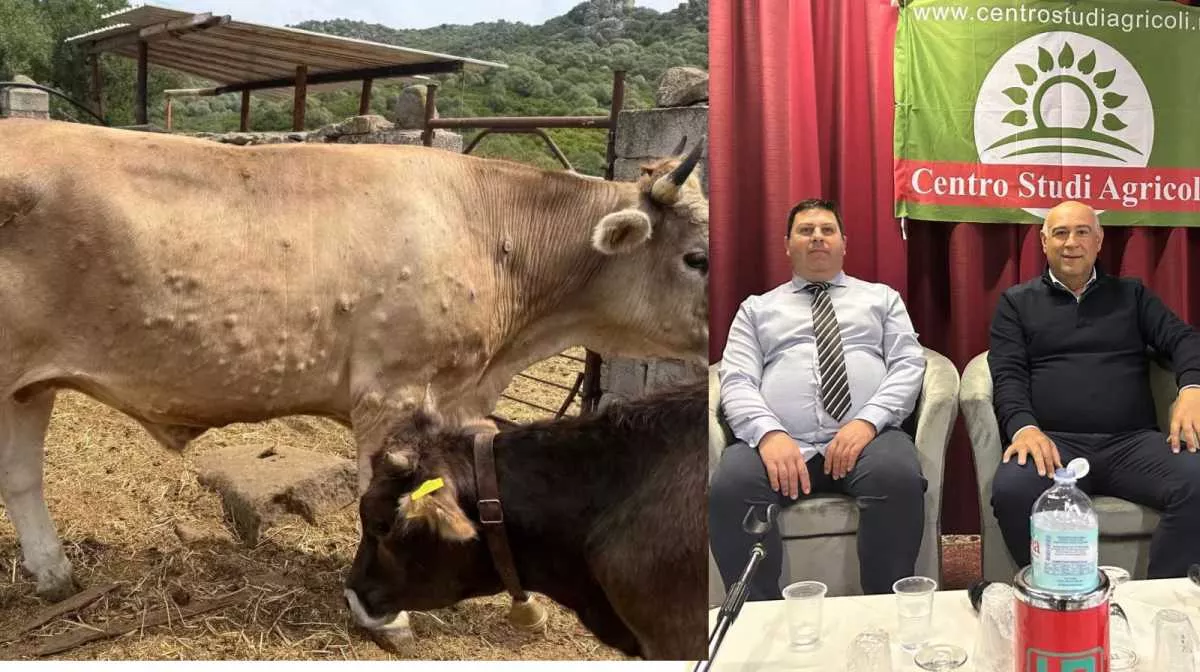 Centro Studi Agricoli Commento Sblocco centro-studi-agricoli-commento-sblocco