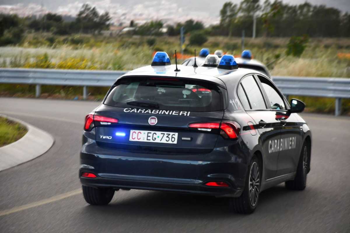 WhatsApp-Image-2025-12-19-at-173117